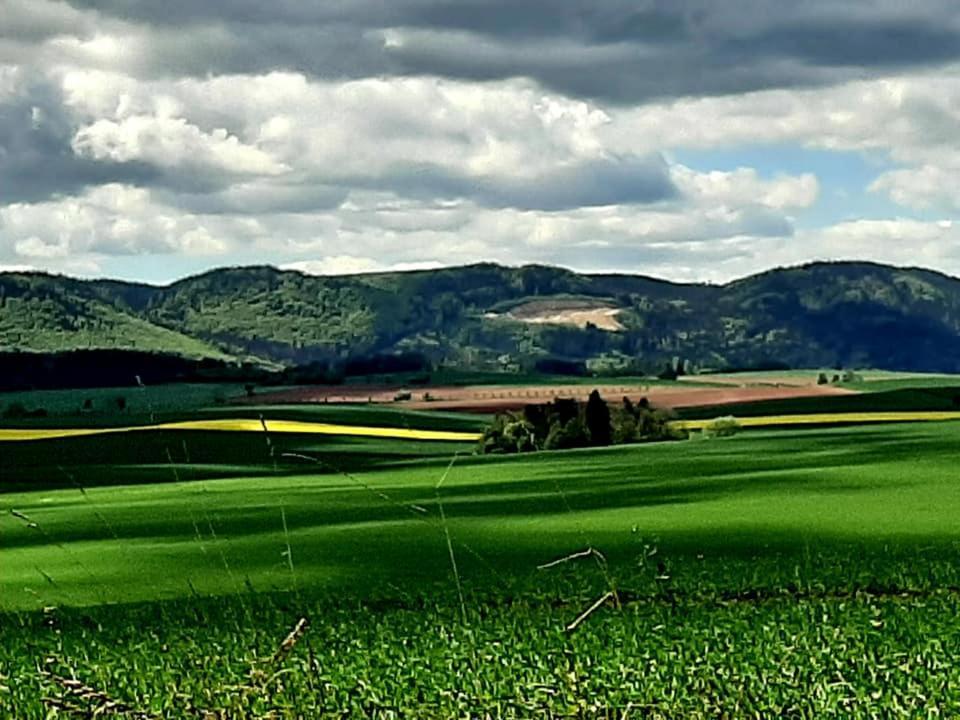Zielona Roza Villa Wambierzyce Exteriör bild
