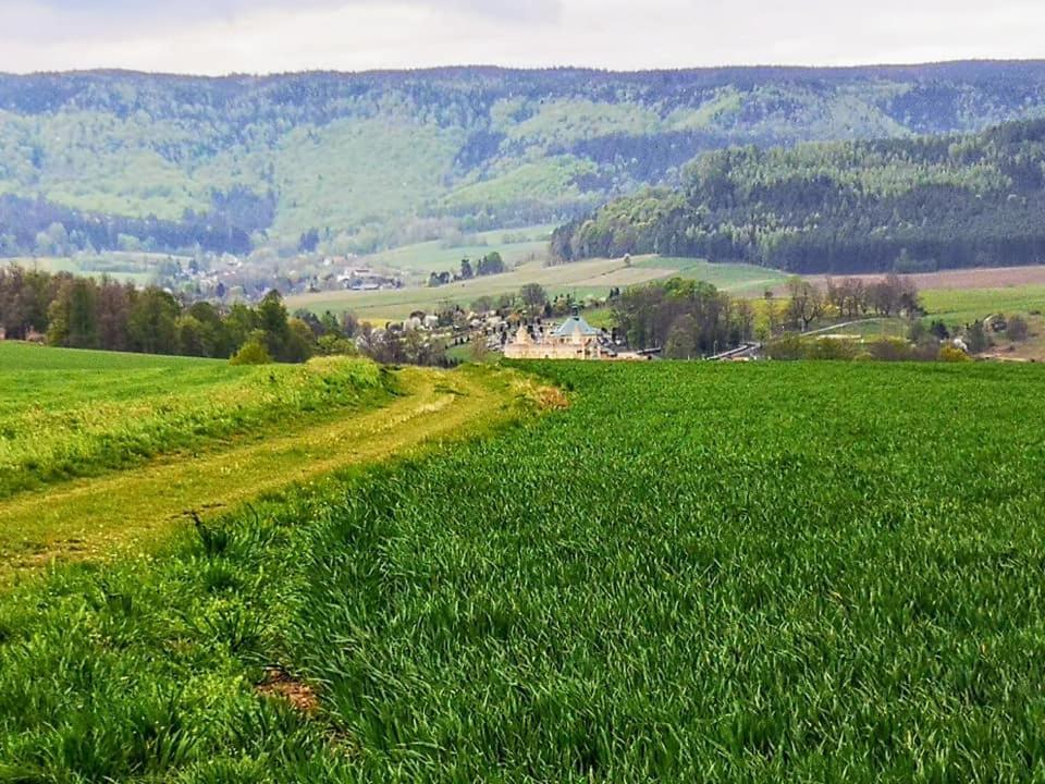 Zielona Roza Villa Wambierzyce Exteriör bild