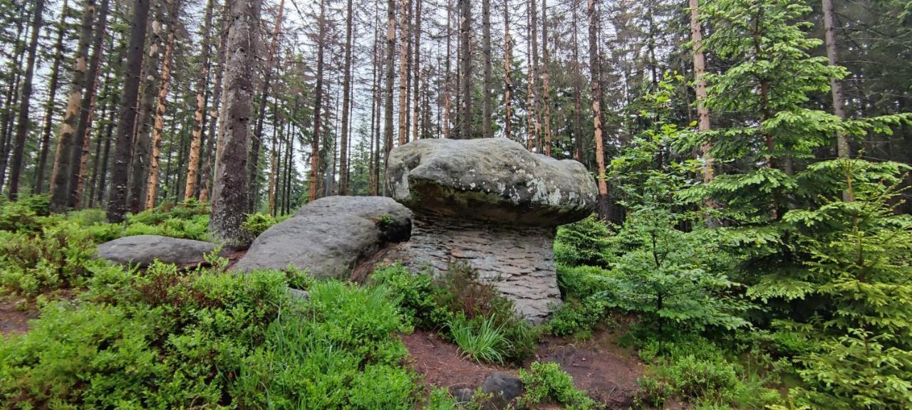 Zielona Roza Villa Wambierzyce Exteriör bild