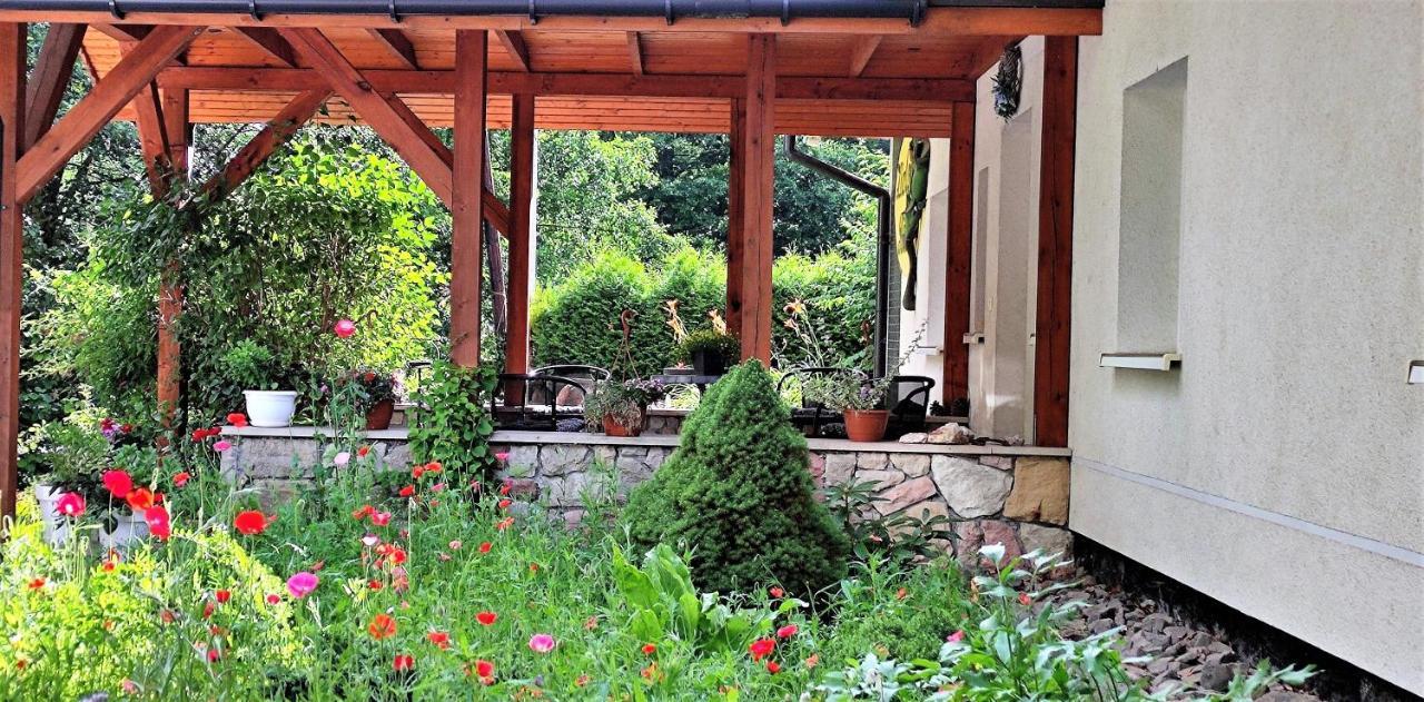 Zielona Roza Villa Wambierzyce Exteriör bild