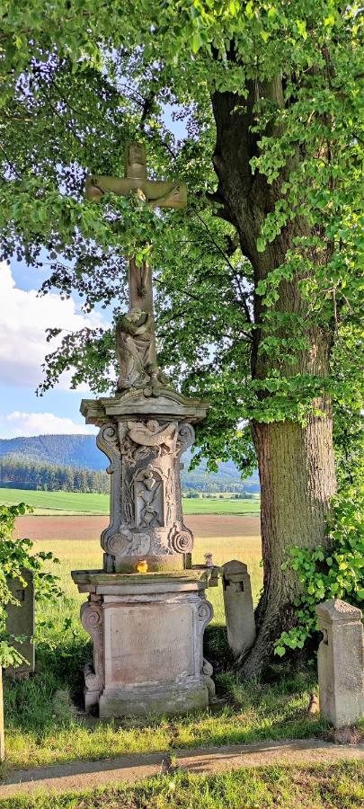 Zielona Roza Villa Wambierzyce Exteriör bild