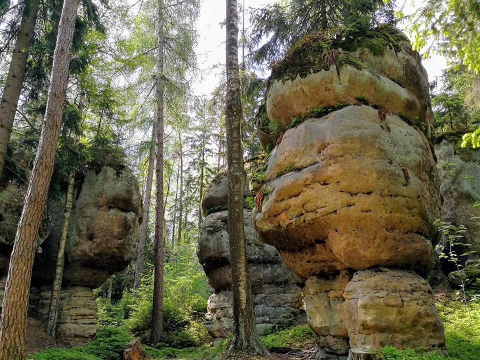 Zielona Roza Villa Wambierzyce Exteriör bild