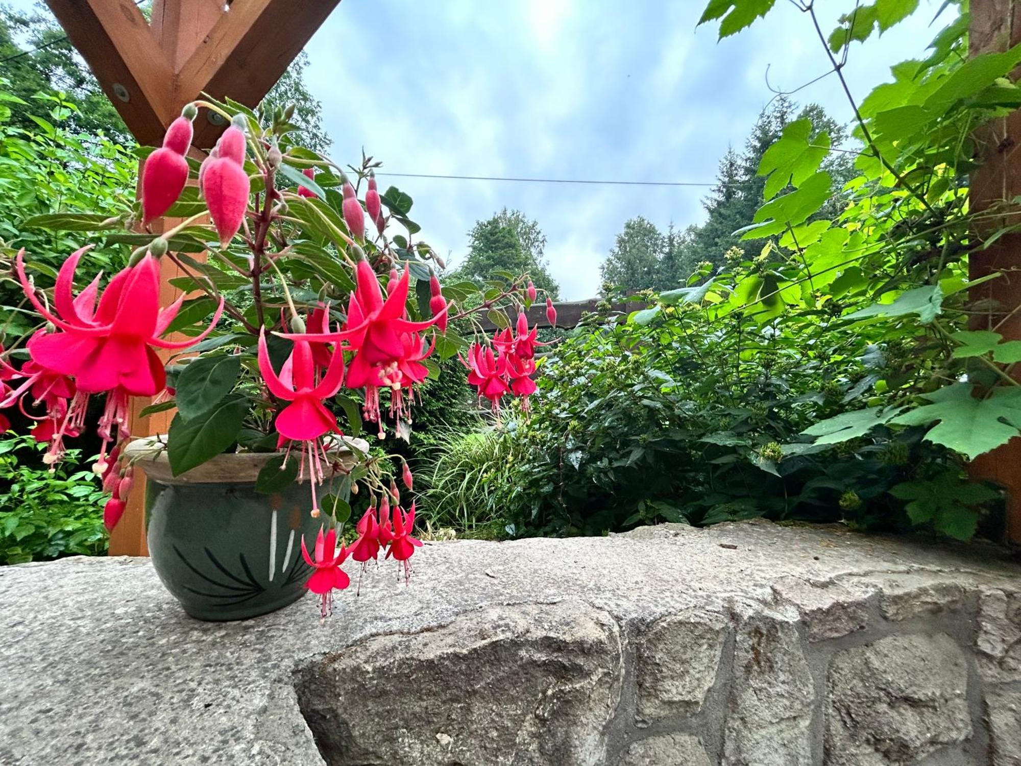 Zielona Roza Villa Wambierzyce Exteriör bild